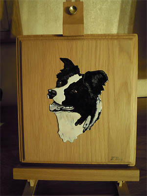 chien border collie