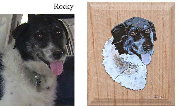 chien rocky